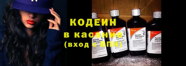 прущие грибы Краснотурьинск