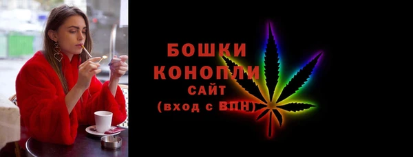 индика Кадников