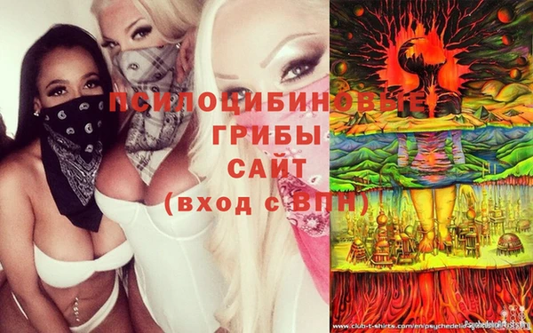 индика Кадников