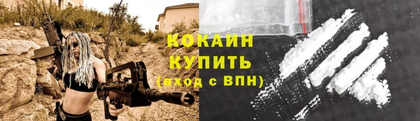 трава Кодинск