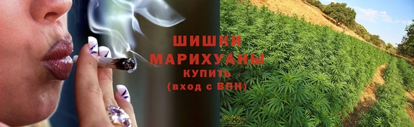 прущие грибы Краснотурьинск